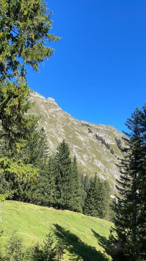 Landhaus Eibelesee オーバーシュタウフェン エクステリア 写真