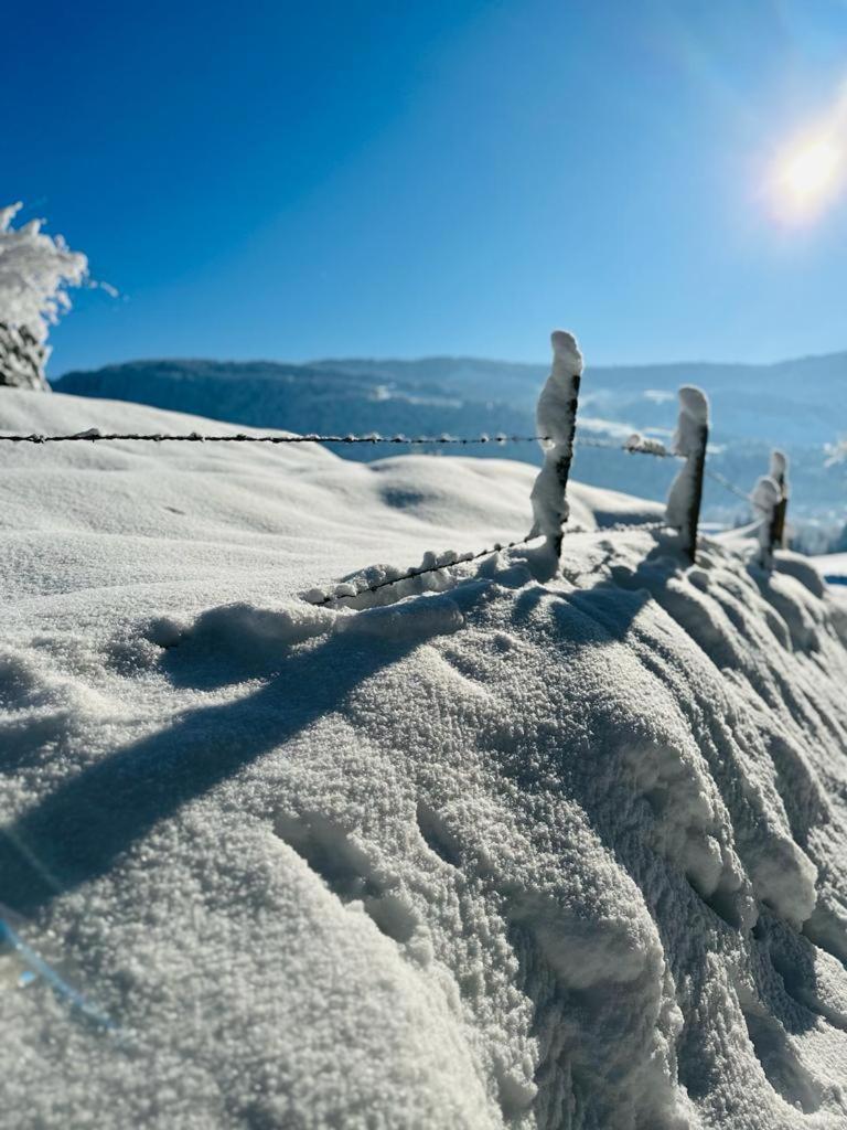 Landhaus Eibelesee オーバーシュタウフェン エクステリア 写真