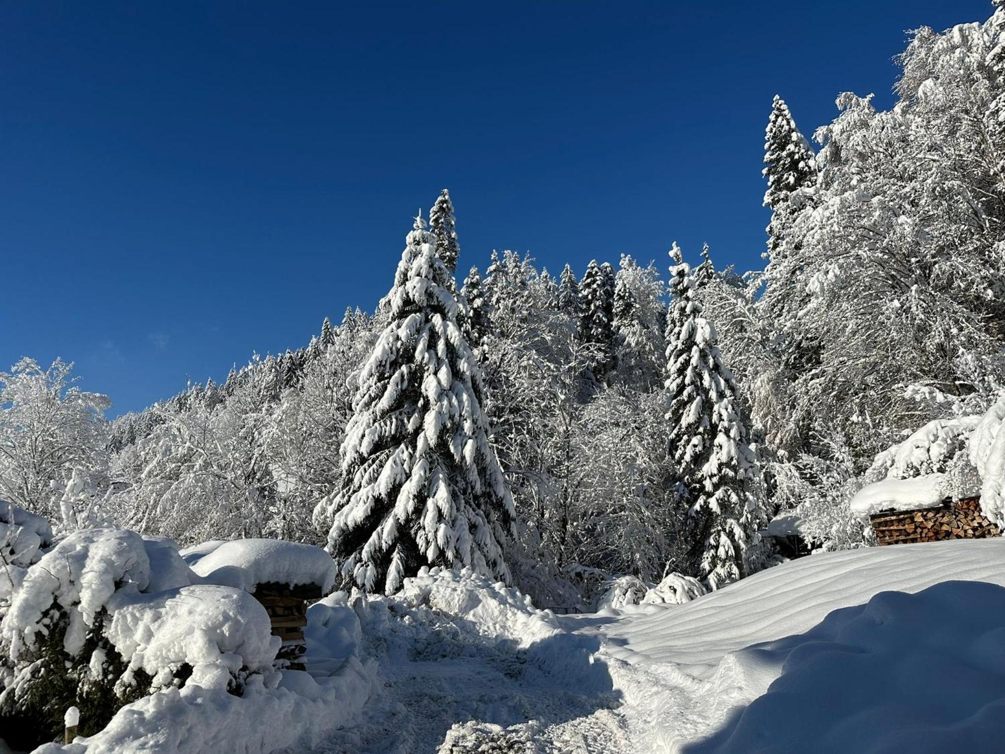 Landhaus Eibelesee オーバーシュタウフェン エクステリア 写真