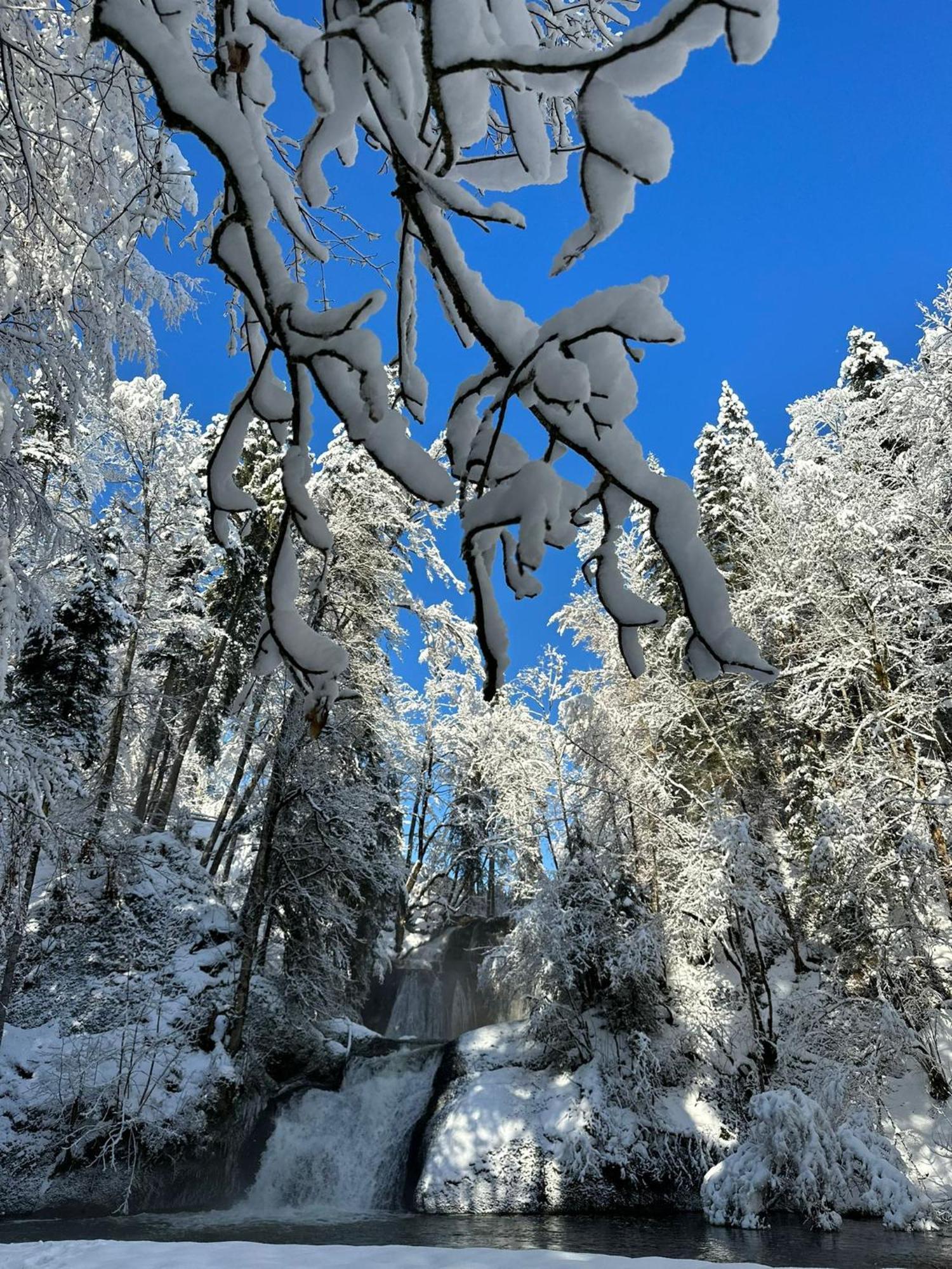 Landhaus Eibelesee オーバーシュタウフェン エクステリア 写真
